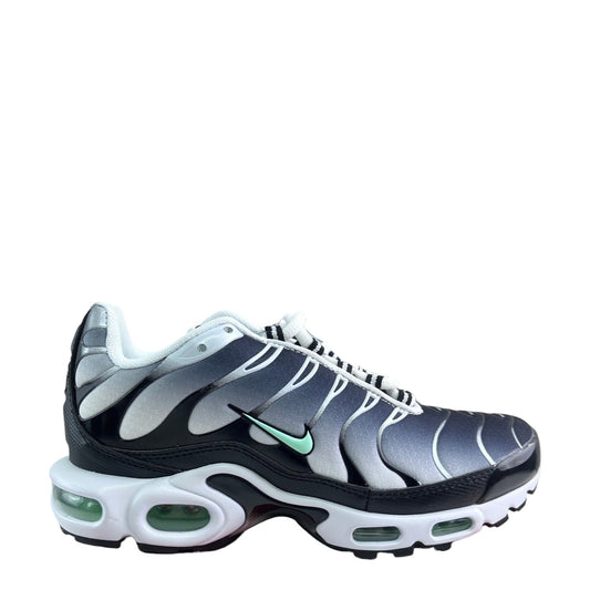 Luxury Chef Nike Air Max Plus TN sneakers with a gradient of white to black and mint green accents.