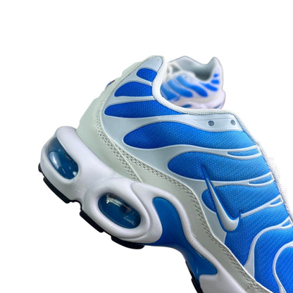 Luxury Chef Nike TN blue and white mesh sneakers with visible air cushioning.