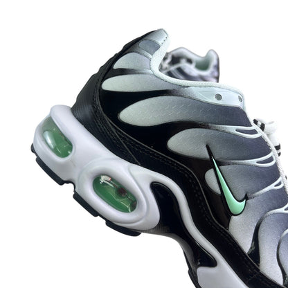 Luxury Chef Nike TN sneakers with black, grey, and white gradient upper and mint green accents. Features visible air cushioning.